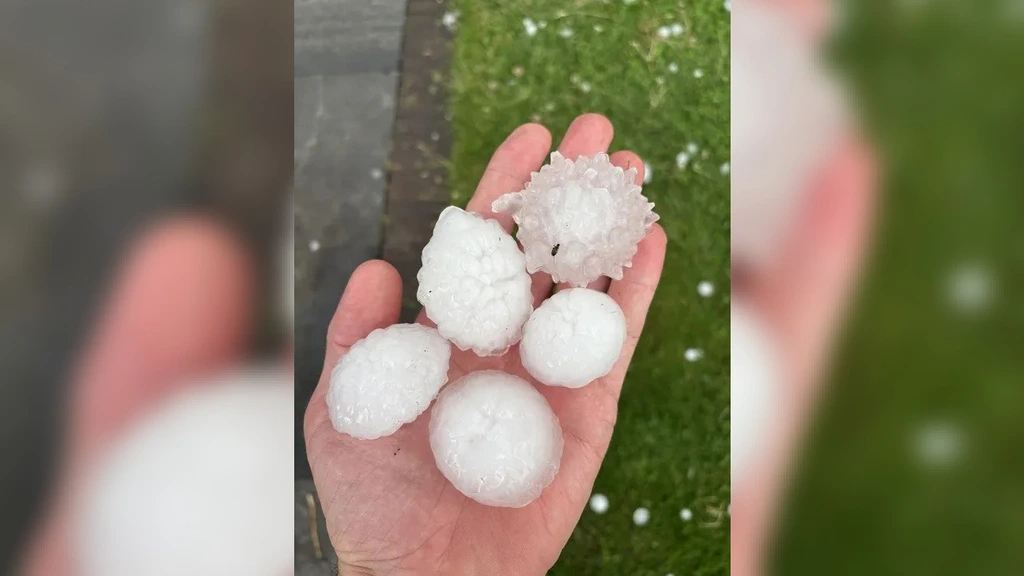 Noodweer in België: hagelstenen zo groot als pingpongballen