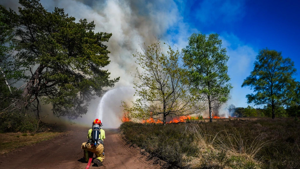 Meerdere grote natuurbranden, dit gebeurde er vandaag