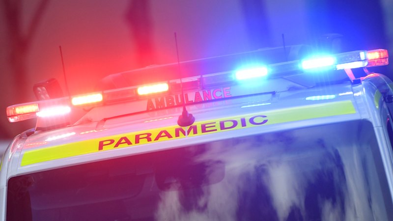 Sydney man dead after suspected dog attack