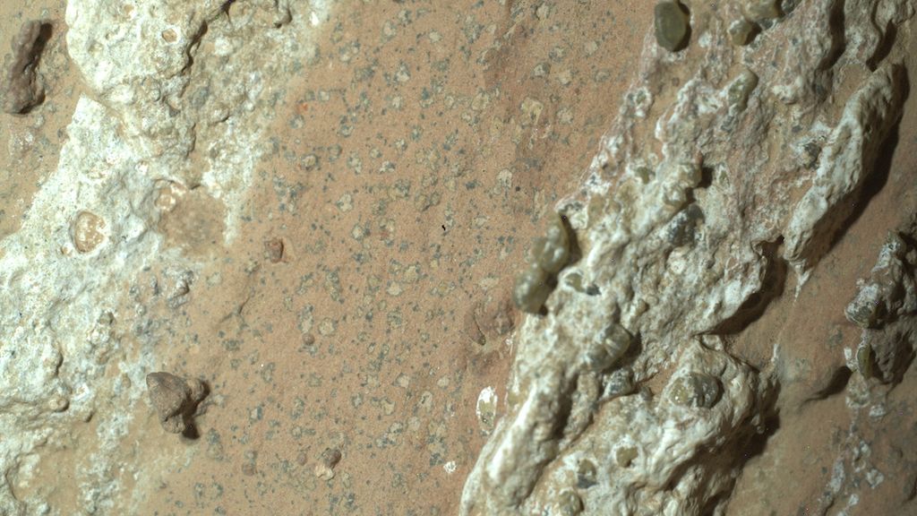 NASA vindt sterkste aanwijzingen tot nu toe voor mogelijk leven op Mars