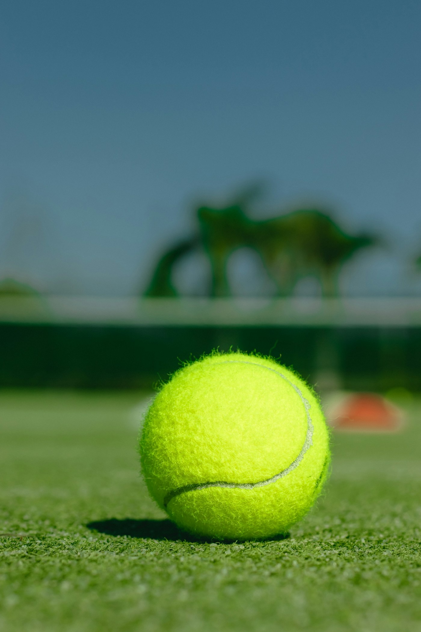 Sinner en Djokovic bereiken tweede ronde op Wimbledon
