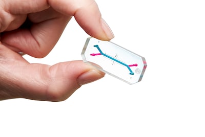 Project Avatar: waarom de Artemis-astronauten een chip met eigen mini-organen mee hebben naar de maan