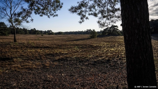 Twaalf blusvoertuigen uitgerukt voor grote natuurbrand in Otterlo