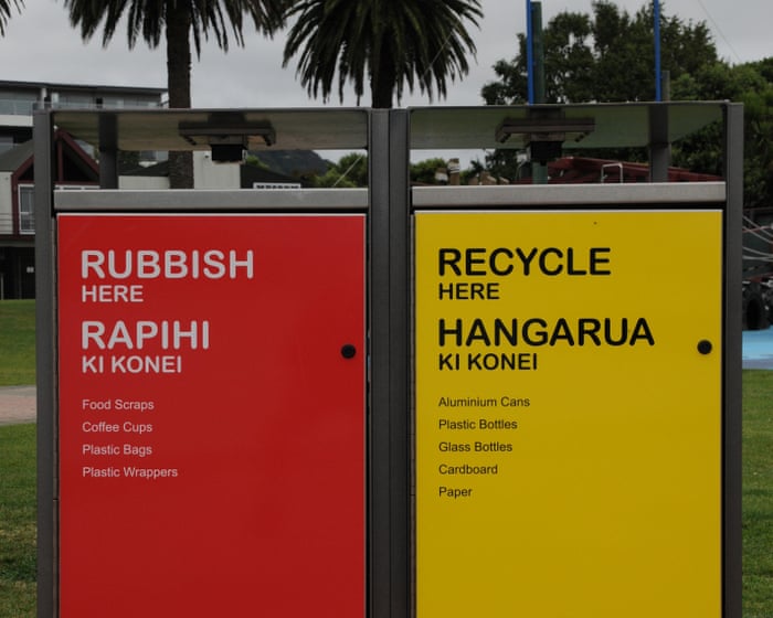 New Zealand coalition votes to make English an official language as critics slam ‘cynical’ bill