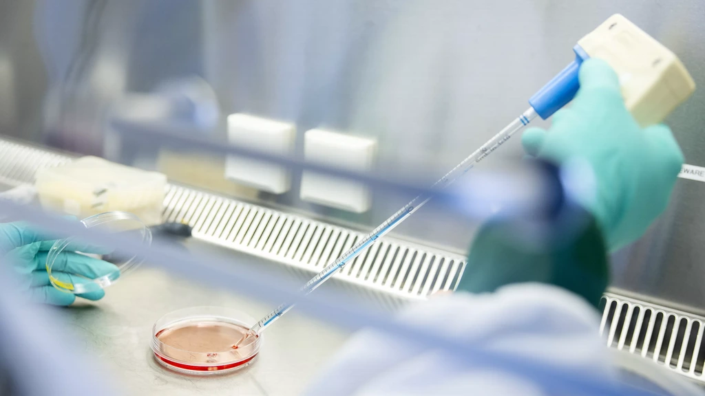 Westnijlvirus aangetroffen bij bloeddonor in Nederland, eerste keer sinds 2020