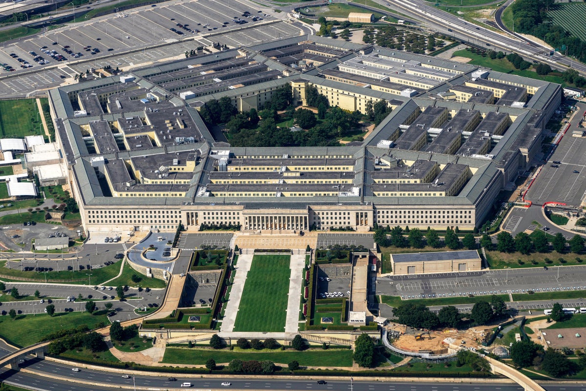 Pentagon taps controversial DOGE employee to lead its AI efforts amid Anthropic fallout