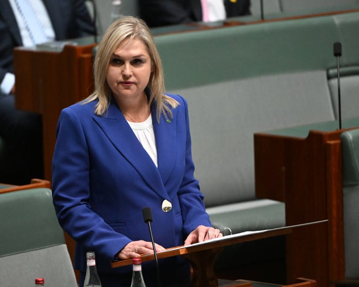 Ex-Liberal MP says the party must introduce gender quotas to start winning elections