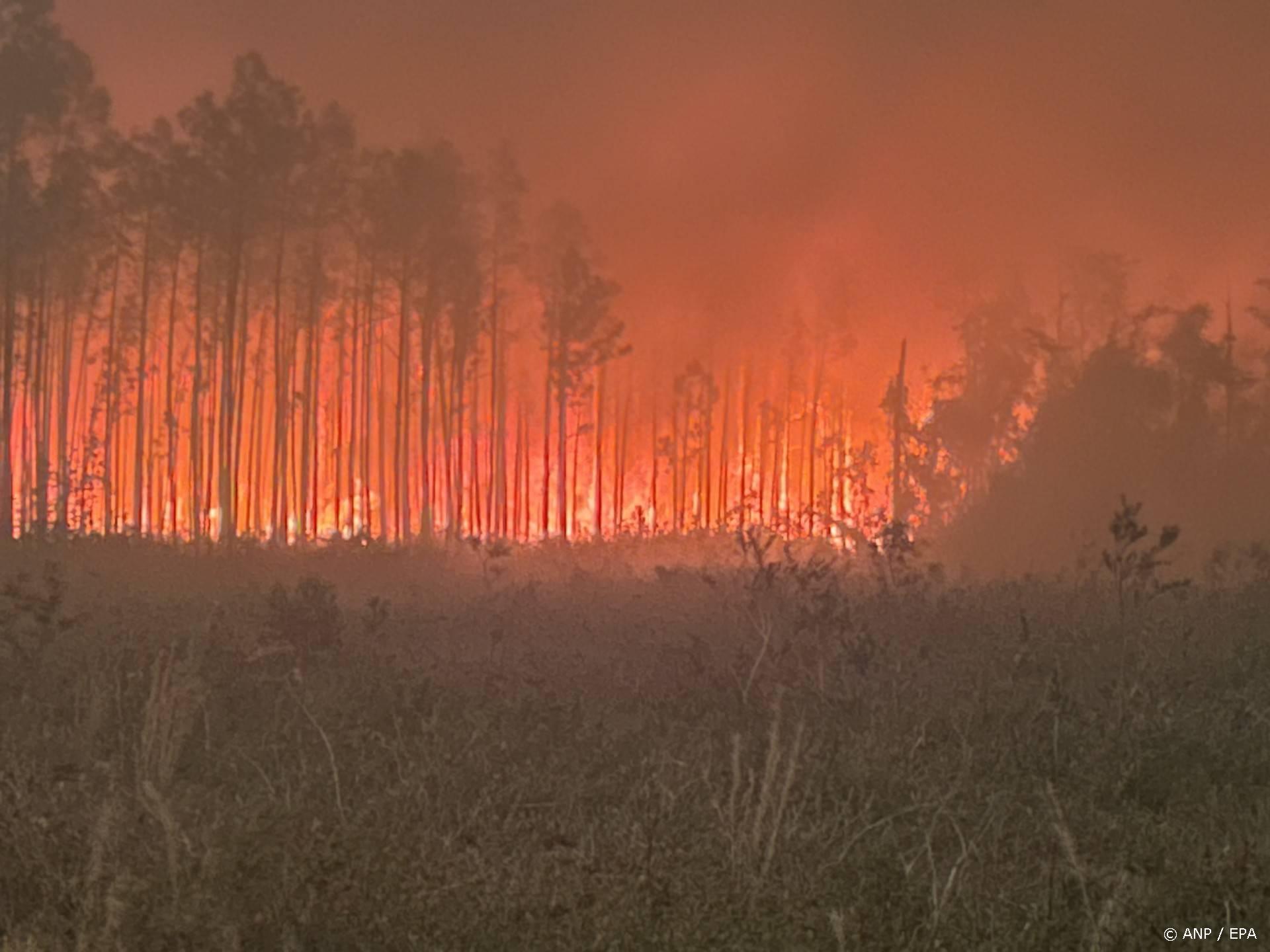 Natuurbranden verwoesten honderden gebouwen in staat Washington