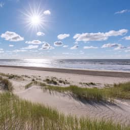 In 2023 op Texel aangespoelde lichaamsdelen blijken van Afghaanse mannen