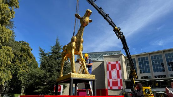 Nederlands Filmfestival voor 45e keer in Utrecht, dit moet je weten