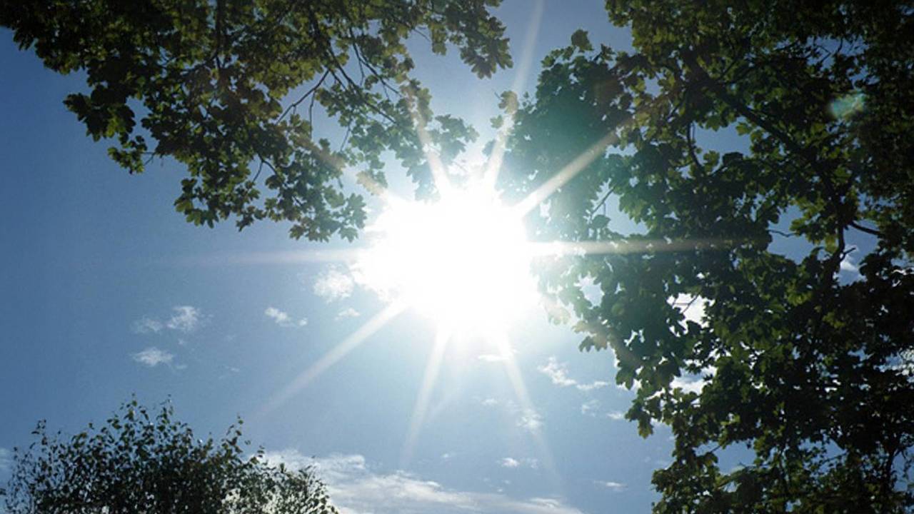 Warmste 25 februari ooit gemeten: recordtemperatuur in Eindhoven