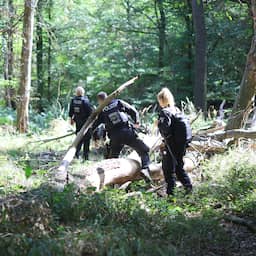 Duitse politie vindt explosieven bij stroomnet tijdens zoektocht naar saboteur