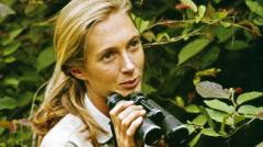 Dame Jane Goodall revolutionised our understanding of our closest primate cousins
