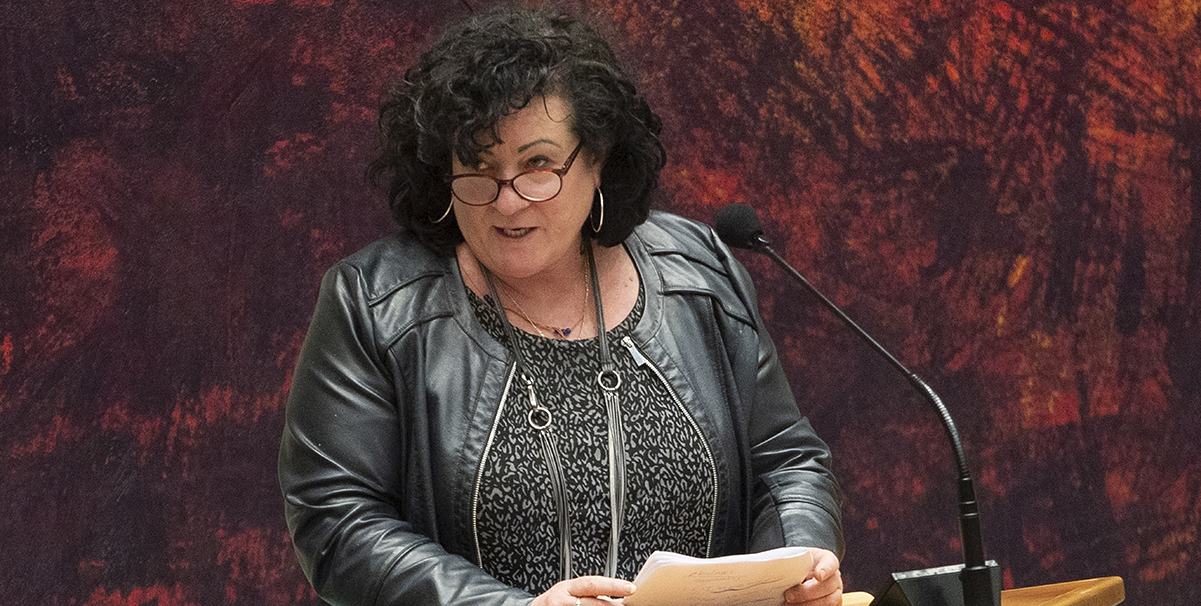 Van der Plas stopt als leider BBB, Vermeer neemt over