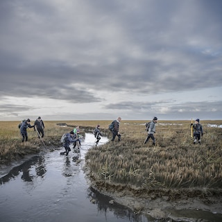 De Wadden zijn van niemand