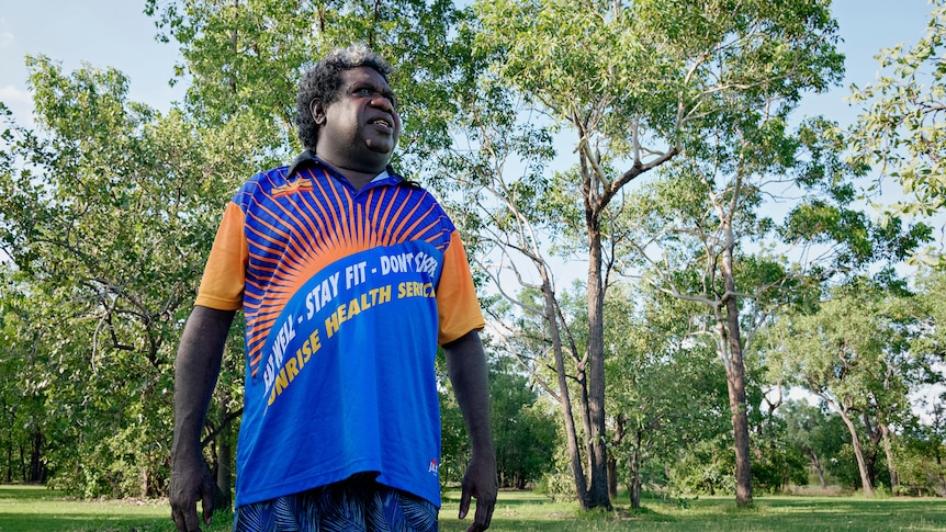 Kakadu board chair charged with domestic violence, assault