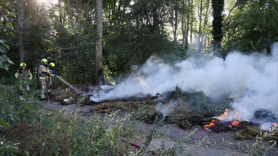 Veel rook bij brand in berm