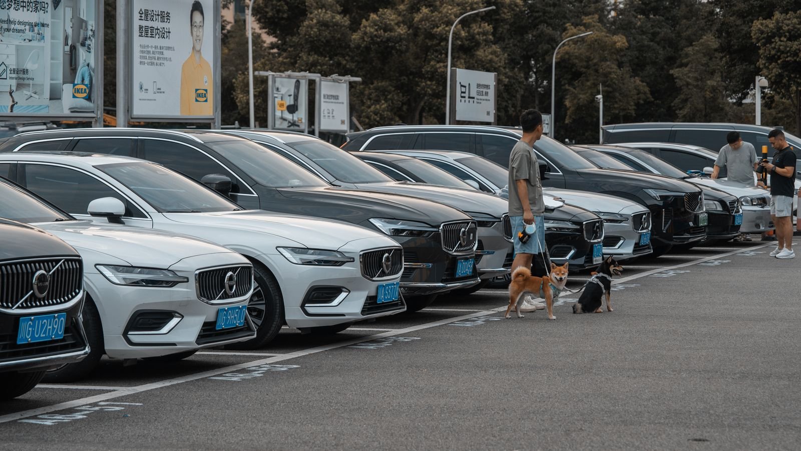 Volvo Cars schrapt 2.500 banen na verlies in derde kwartaal