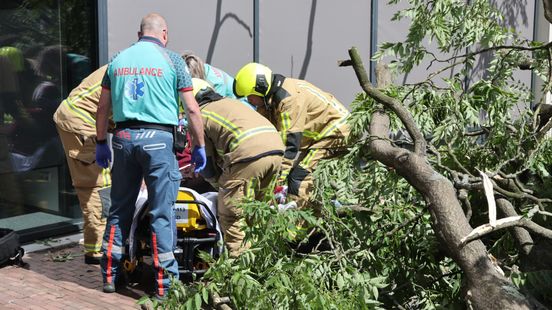 Vrouw belandt door storm onder omvallende boom, ook elders stormschade