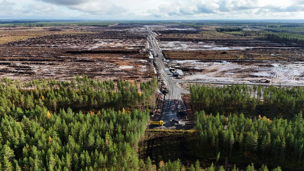 Google kapt illegaal 250.000 bomen, Finnen vragen strengere regels datacenters
