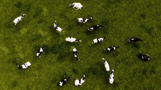 Agrariërs geschokt na ondertekening stikstofplan: ‘Vertrouwen geschaad’